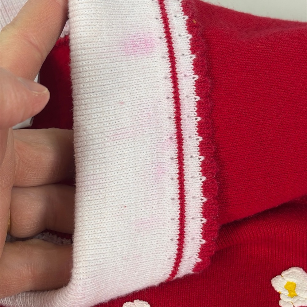 Vintage Sweatshirt 90s Morning Sun Popcorn 3D Puff Sweatshirt Hanes Red Large L - Picture 12 of 16